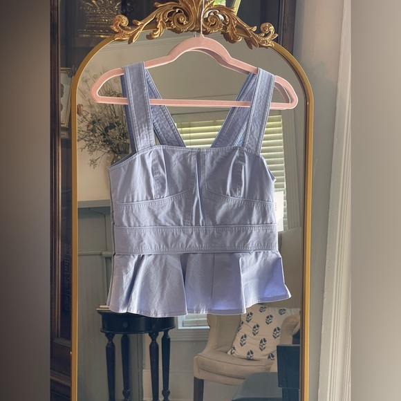 NWT Sophie Rue Billy Poplin Top in Blue Hydrangea - Picture 1 of 8